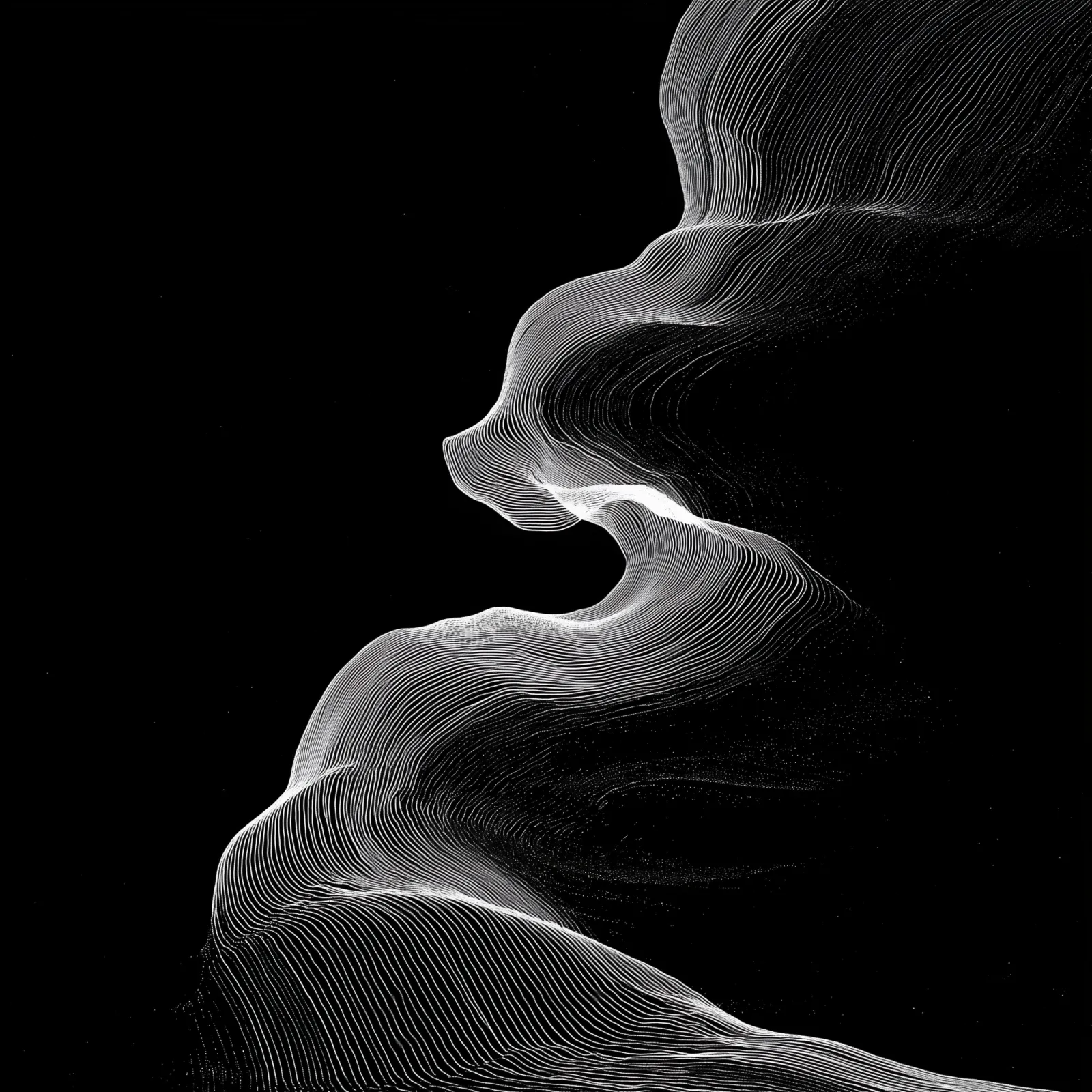 Abstract white data lines forming a flowing landscape on black